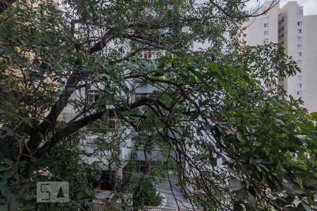 Vista Sala 1 de apartamento para alugar com 3 quartos, 115m² em Santo Antônio, Belo Horizonte