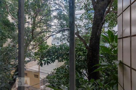 Vista Quarto 1 de apartamento para alugar com 3 quartos, 115m² em Santo Antônio, Belo Horizonte