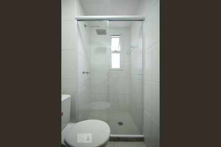 Detalhe do Banheiro Suíte  de apartamento para alugar com 3 quartos, 64m² em Jardim Caboré, São Paulo