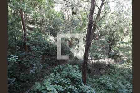 Vista da Varanda de apartamento para alugar com 3 quartos, 64m² em Jardim Caboré, São Paulo