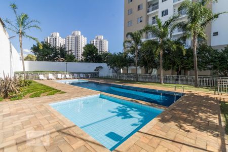 Apartamento para alugar com 63m², 3 quartos e 1 vaga Apartamento para alugar com 63m², 3 quartos e 1 vagaPiscinas