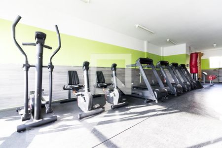 Apartamento à venda com 67m², 3 quartos e 1 vagaÁrea comum - Academia