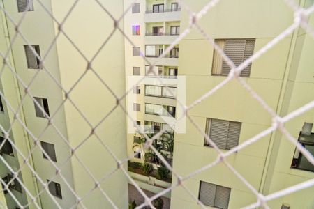 Suíte de apartamento para alugar com 3 quartos, 67m² em Vila Palmeiras, São Paulo