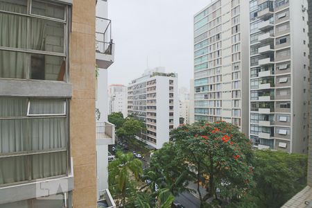 Vista de apartamento para alugar com 4 quartos, 100m² em Higienópolis, São Paulo