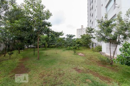 Apartamento para alugar com 67m², 2 quartos e 1 vagaBosque