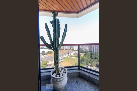 Apartamento à venda com 210m², 3 quartos e 3 vagasSacada do quarto 2