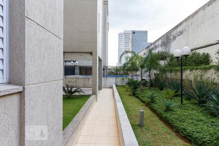 Apartamento à venda com 68m², 3 quartos e 1 vagaArea Comum do Condominio 