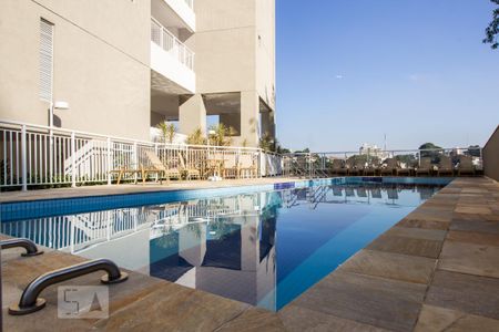 Piscina de kitnet/studio para alugar com 1 quarto, 30m² em Sumarezinho, São Paulo