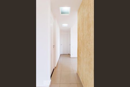 Corredor de apartamento para alugar com 2 quartos, 75m² em Chácara da Barra, Campinas