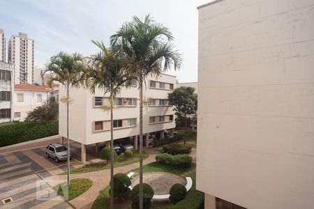 Vista da sala de apartamento para alugar com 2 quartos, 65m² em Centro, Campinas
