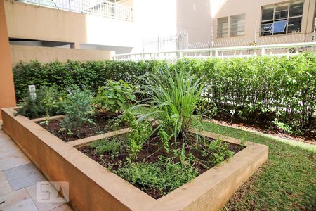 Apartamento para alugar com 40m², 1 quarto e 1 vagaÁrea comum