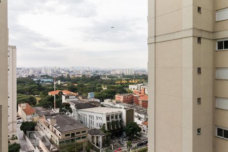 Vista de apartamento à venda com 3 quartos, 105m² em Belenzinho, São Paulo
