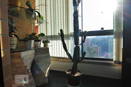 Varanda de apartamento para alugar com 2 quartos, 62m² em Vila Andrade, São Paulo
