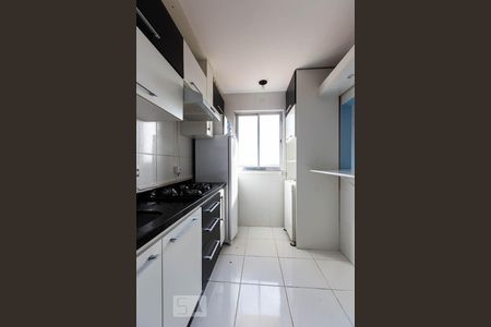 Cozinha de apartamento para alugar com 1 quarto, 38m² em Azenha, Porto Alegre