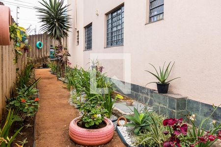 Apartamento para alugar com 75m², 3 quartos e 1 vagaÁrea Externa