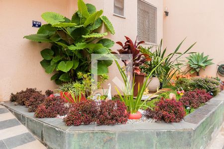 Apartamento para alugar com 75m², 3 quartos e 1 vagaÁrea Externa
