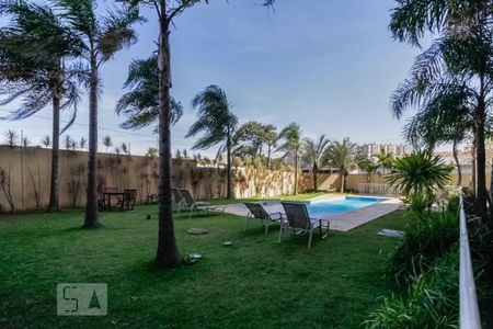 Piscina de apartamento para alugar com 2 quartos, 65m² em Rio Pequeno, São Paulo