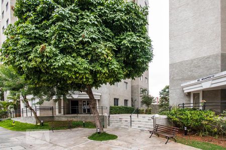 Apartamento à venda com 62m², 3 quartos e 1 vagaÁrea Externa 