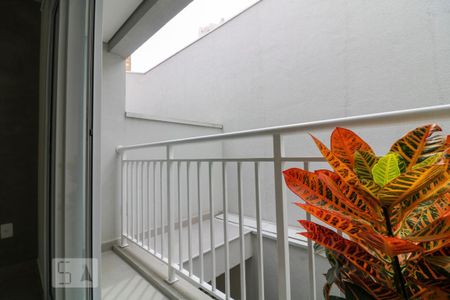 Casa de condomínio à venda com 103m², 2 quartos e 1 vaga Casa de condomínio à venda com 103m², 2 quartos e 1 vagaSuíte 1