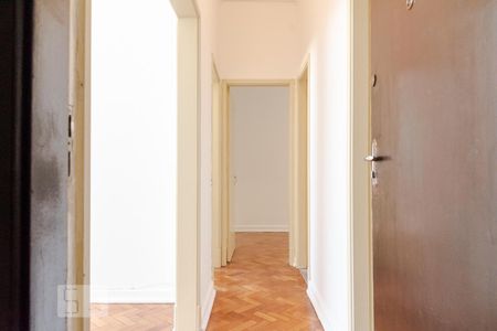Apartamento para alugar com 66m², 2 quartos e sem vagaEntrada - Corredor - Sala