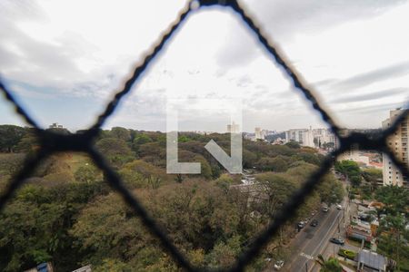 Vista da Varanda da Sala de apartamento para alugar com 3 quartos, 150m² em Jardim Caboré, São Paulo