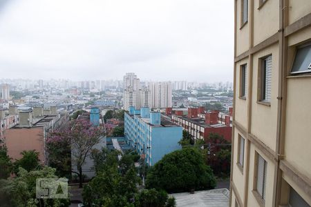 VISTA SALA de apartamento para alugar com 2 quartos, 58m² em Limão, São Paulo