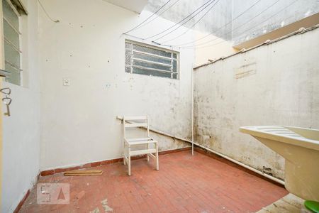 Área de serviço de apartamento para alugar com 1 quarto, 50m² em Parque Boturussu, São Paulo