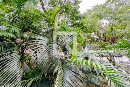 Vista da Varanda de apartamento à venda com 2 quartos, 46m² em Quinta da Paineira, São Paulo