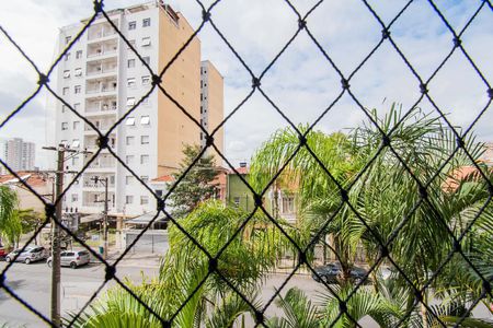 Vista da Sala de apartamento para alugar com 3 quartos, 81m² em Cambuci, São Paulo