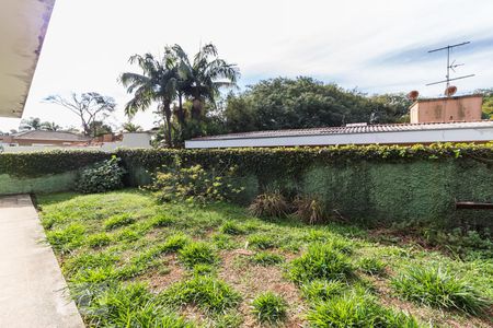 Casa para alugar com 500m², 3 quartos e 2 vagasQuintal fundos