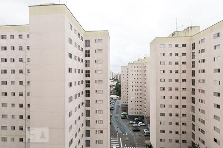 Vista do quarto 1  de apartamento à venda com 3 quartos, 64m² em Vila Moraes, São Paulo