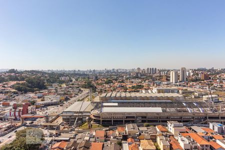 Apartamento para alugar com 50m², 2 quartos e 1 vaga Apartamento para alugar com 50m², 2 quartos e 1 vagaVista da Área de Serviço