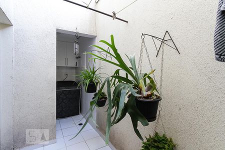 Área de Serviço de casa para alugar com 3 quartos, 120m² em Penha de França, São Paulo