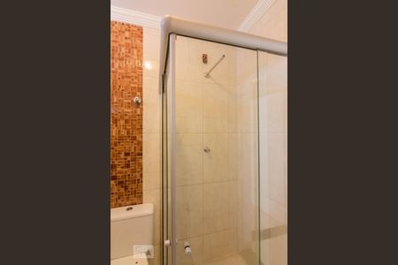 Chuveiro Banheiro Social de apartamento para alugar com 2 quartos, 80m² em Santo Antônio, Belo Horizonte