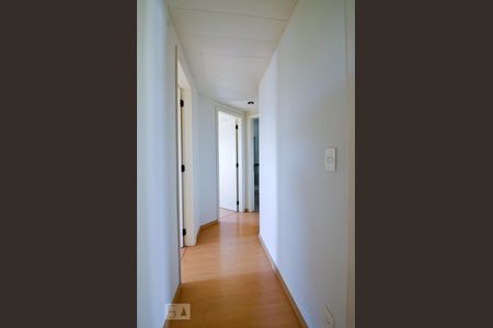 Corredor de apartamento para alugar com 3 quartos, 90m² em Jardim Primavera, Campinas