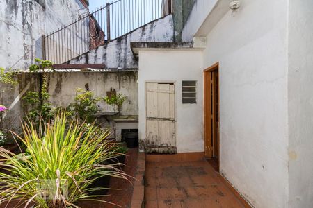 Quintal dos Fundos e Area de Serviço  de casa para alugar com 1 quarto, 90m² em Mooca, São Paulo