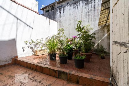 Quintal dos Fundos e Area de Serviço  de casa para alugar com 1 quarto, 90m² em Mooca, São Paulo