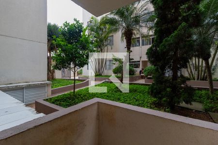 Varanda Sala de apartamento para alugar com 2 quartos, 50m² em Vila Inglesa, São Paulo