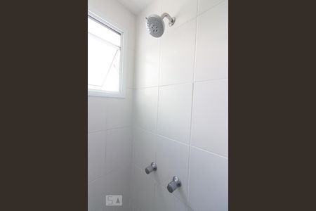 Banheiro - Chuveiro de apartamento para alugar com 2 quartos, 54m² em Tingui, Curitiba