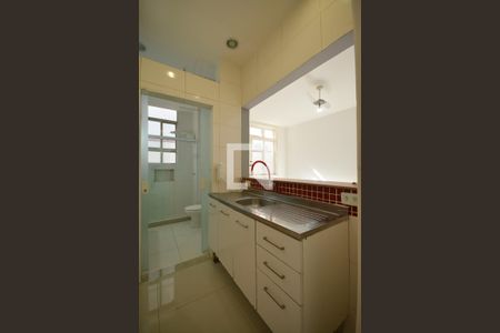 Apartamento para alugar com 53m², 1 quarto e sem vagaCozinha