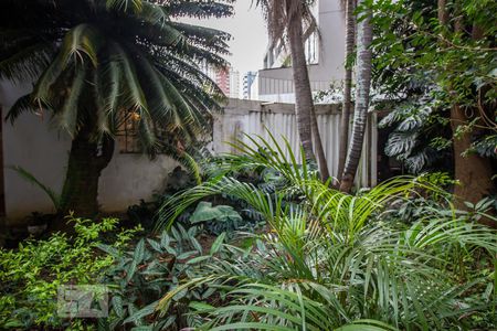 Casa para alugar com 330m², 6 quartos e 2 vagasJardim