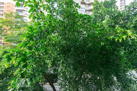 Apartamento para alugar com 150m², 4 quartos e 2 vagas Apartamento para alugar com 150m², 4 quartos e 2 vagasVista da Varanda