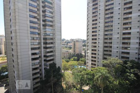 Studio para alugar com 36m², 1 quarto e 1 vagaVista 