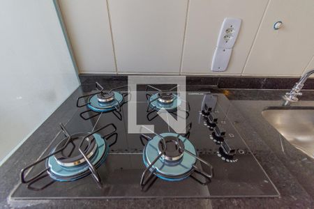 Detalhe cozinha de apartamento para alugar com 2 quartos, 48m² em Jardim Antonio Von Zuben, Campinas
