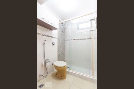 Banheiro Social de apartamento para alugar com 2 quartos, 60m² em Vila Guarani (z Sul), São Paulo