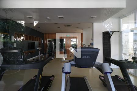 Apartamento à venda com 76m², 2 quartos e 1 vagaÁrea comum - Academia