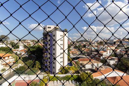 Vista de apartamento para alugar com 3 quartos, 83m² em Vila Sônia, São Paulo
