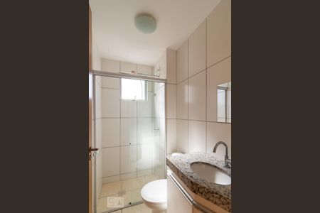 Banheiro Social de apartamento para alugar com 2 quartos, 47m² em Castelo, Belo Horizonte