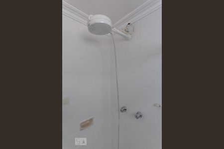 Banheiro de apartamento para alugar com 3 quartos, 96m² em Vila Sônia, São Paulo