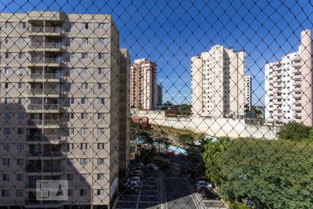 Vista de apartamento para alugar com 3 quartos, 96m² em Vila Sônia, São Paulo